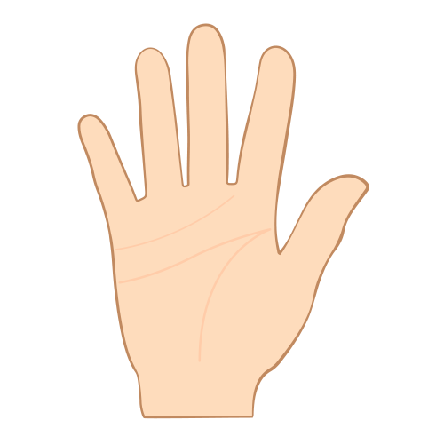 background palm